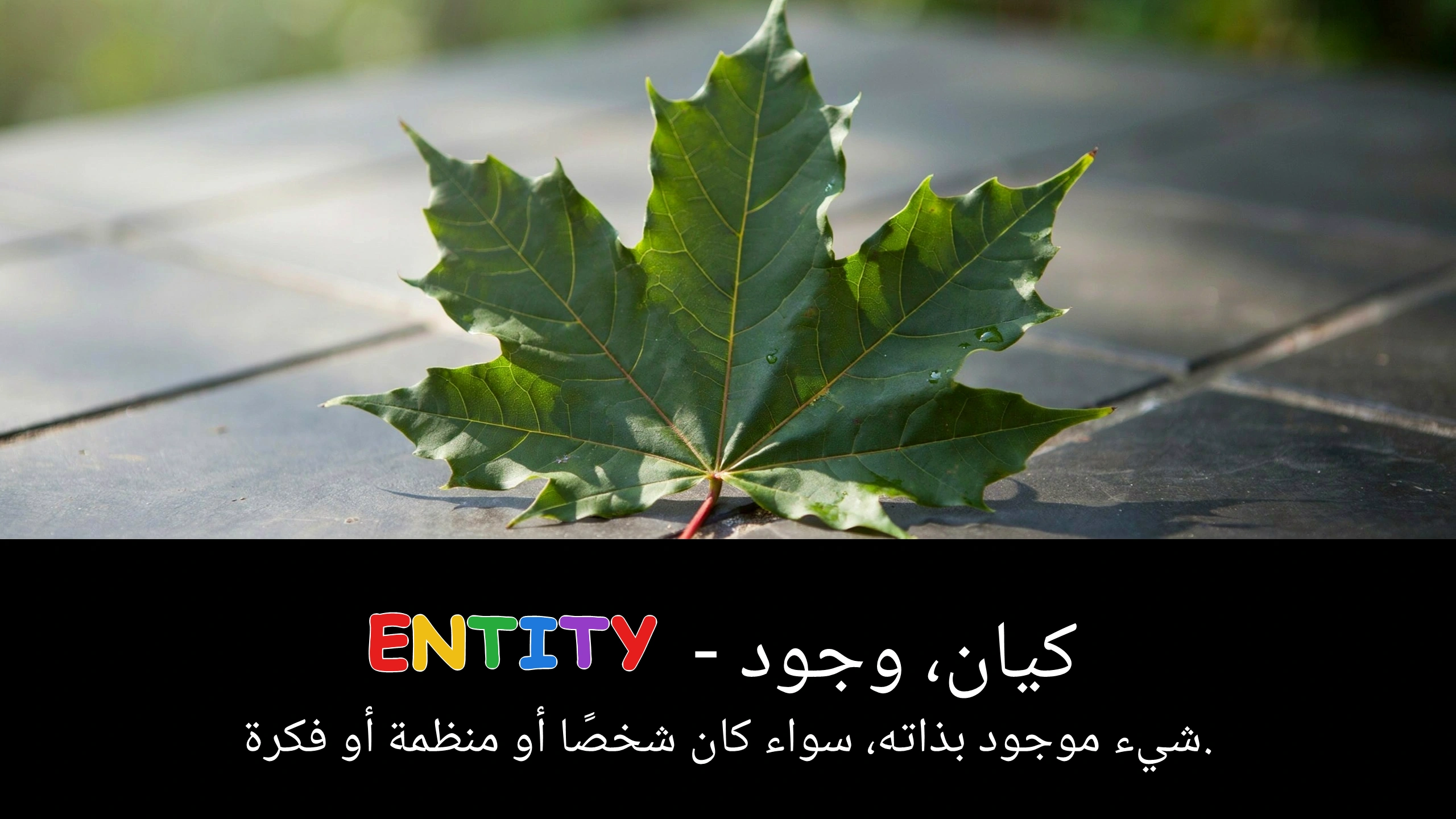 Arabic Illustration for entity